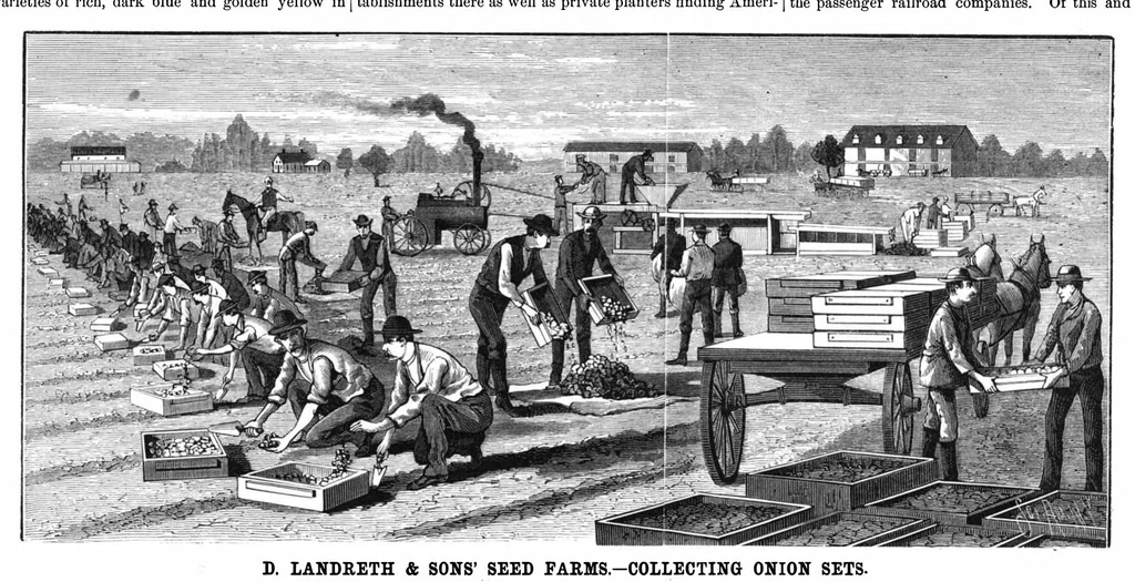 An illustration from Scientific American, Vol. 47, No. 13 (1882), 1882, leaf 4
