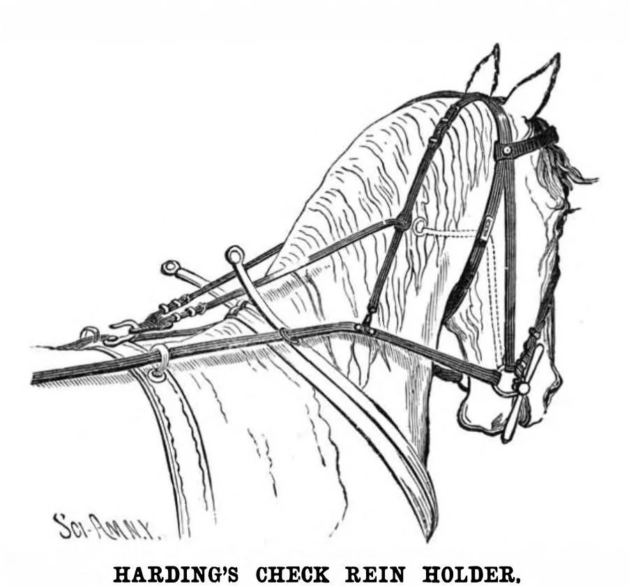 An illustration from Scientific American, Vol. 47, No. 14 (1882), 1882, leaf 6