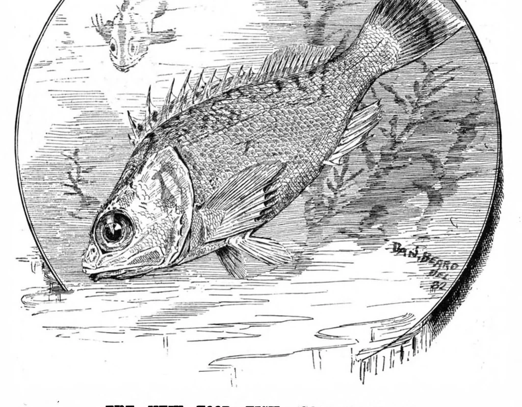 An illustration from Scientific American, Vol. 47, No. 16 (1882), 1882, leaf 8