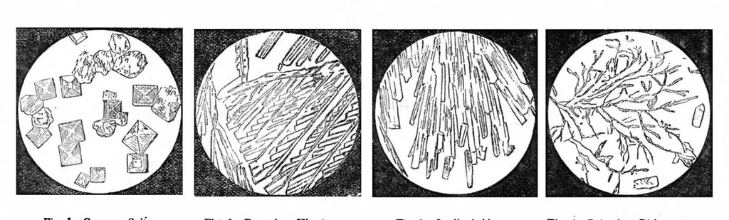 An illustration from Scientific American, Vol. 47, No. 16 (1882), 1882, leaf 9