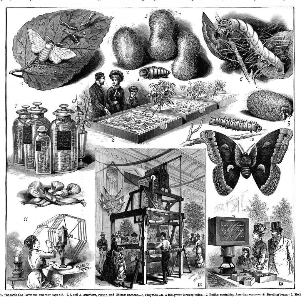An illustration from Scientific American, Vol. 47, No. 17 (1882), 1882, leaf 8