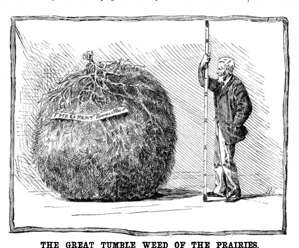 An illustration from Scientific American, Vol. 47, No. 23 (1882), 1882, leaf 8