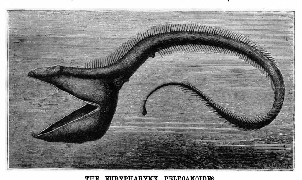 An illustration from Scientific American, Vol. 48, No. 11 (1883), 1883, leaf 8