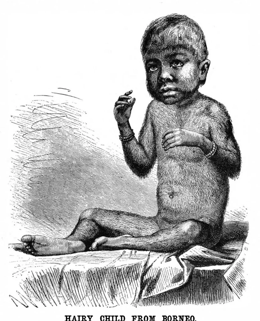 An illustration from Scientific American, Vol. 48, No. 16 (1883), 1883, leaf 8