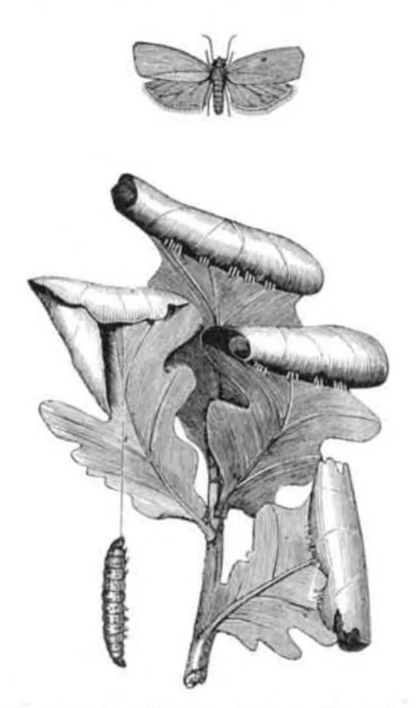An illustration from Scientific American, Vol. 48, No. 25 (1883), 1883, leaf 8