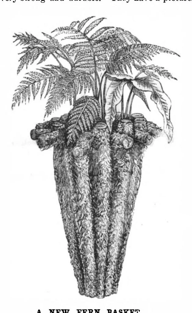 An illustration from Scientific American, Vol. 49, No. 2 (1883), 1883, leaf 5
