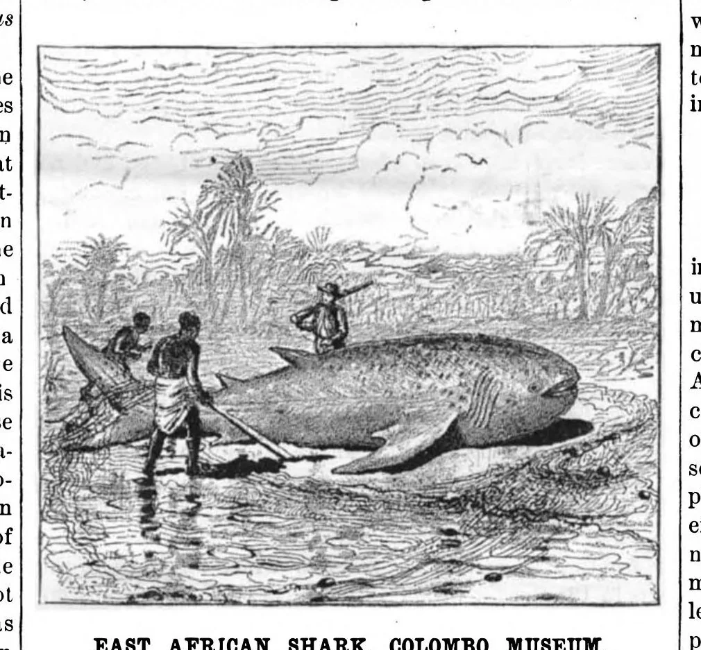 An illustration from Scientific American, Vol. 49, No. 2 (1883), 1883, leaf 8