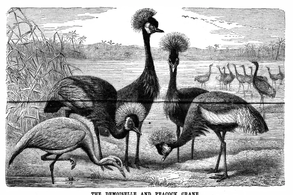 An illustration from Scientific American, Vol. 49, No. 11 (1883), 1883, leaf 8