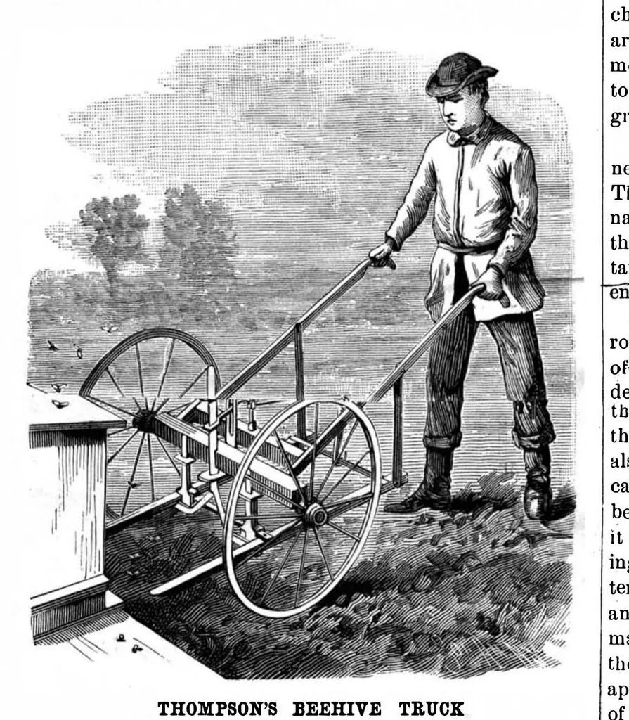 An illustration from Scientific American, Vol. 49, No. 12 (1883), 1883, leaf 4