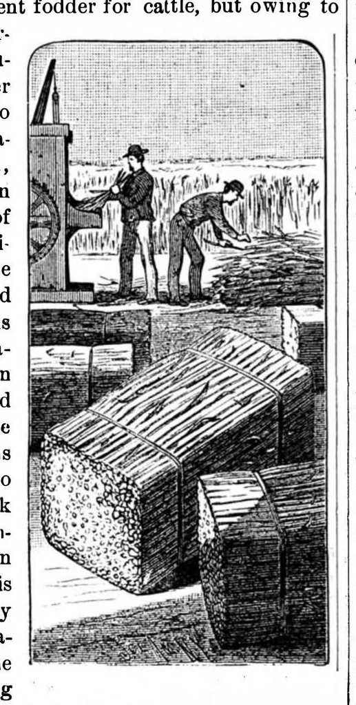 An illustration from Scientific American, Vol. 49, No. 13 (1883), 1883, leaf 10