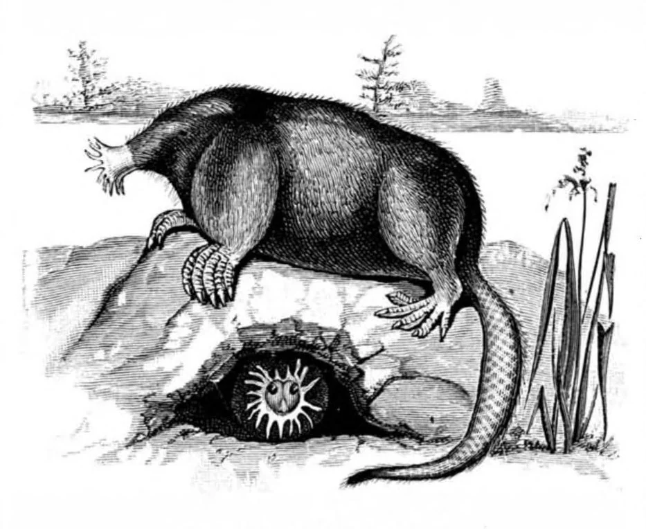 An illustration from Scientific American, Vol. 49, No. 14 (1883), 1883, leaf 8