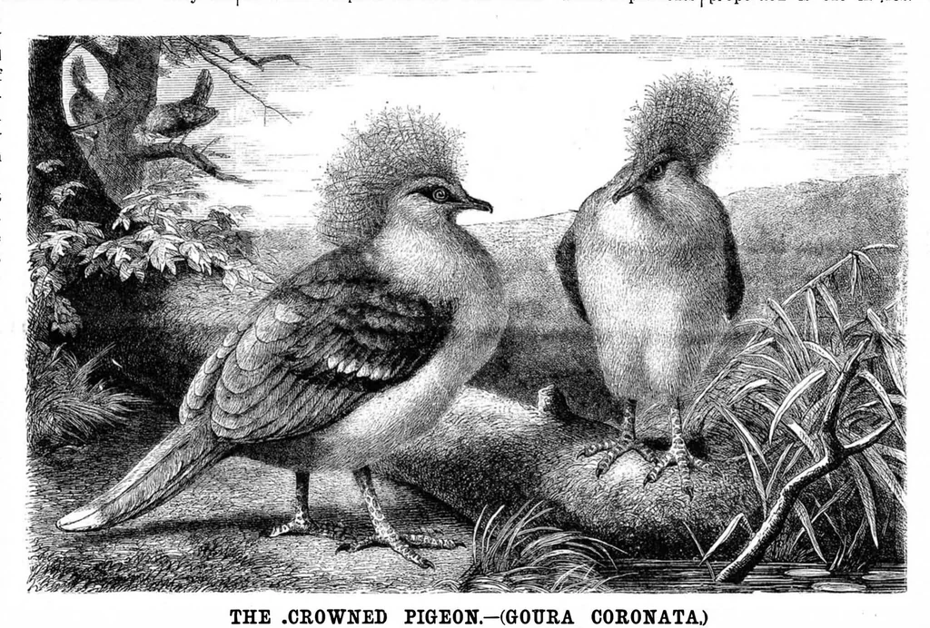 An illustration from Scientific American, Vol. 49, No. 15 (1883), 1883, leaf 8