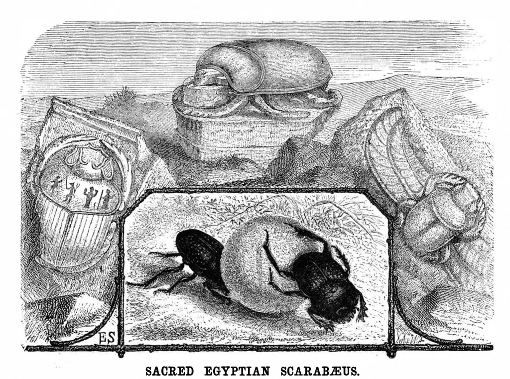 An illustration from Scientific American, Vol. 49, No. 17 (1883), 1883, leaf 8