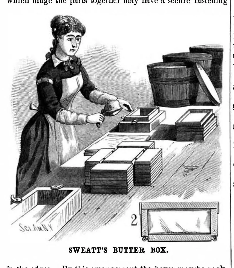 An illustration from Scientific American, Vol. 49, No. 19 (1883), 1883, leaf 3