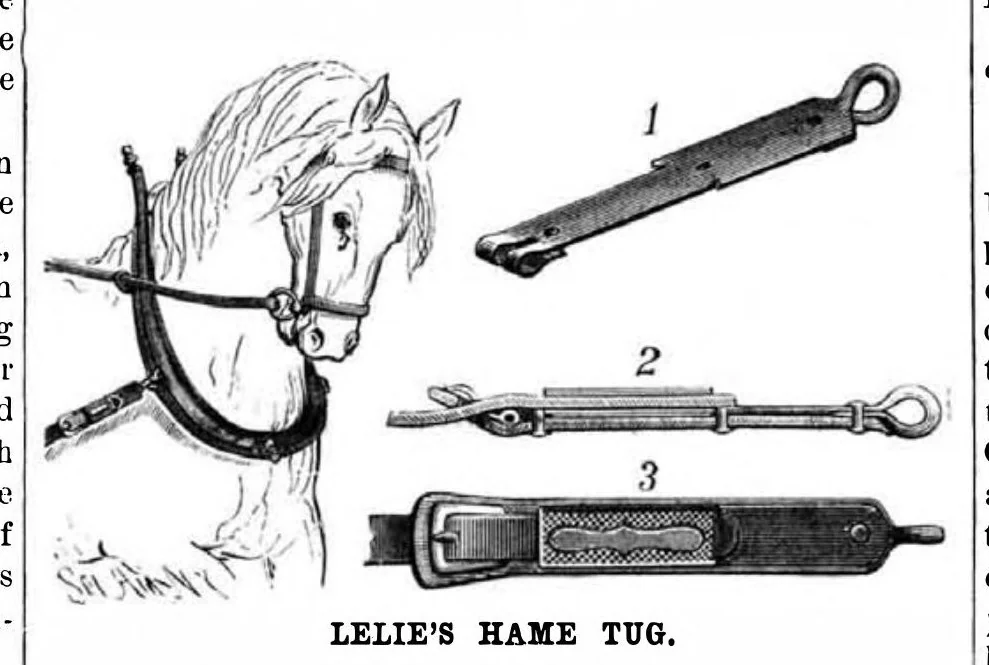 An illustration from Scientific American, Vol. 49, No. 21 (1883), 1883, leaf 9