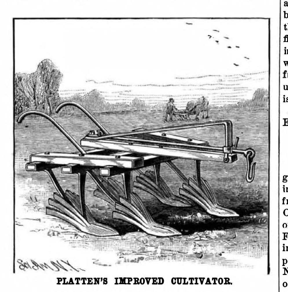 An illustration from Scientific American, Vol. 49, No. 22 (1883), 1883, leaf 3