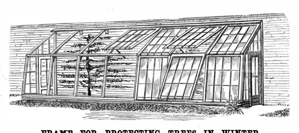 An illustration from Scientific American, Vol. 49, No. 24 (1883), 1883, leaf 5