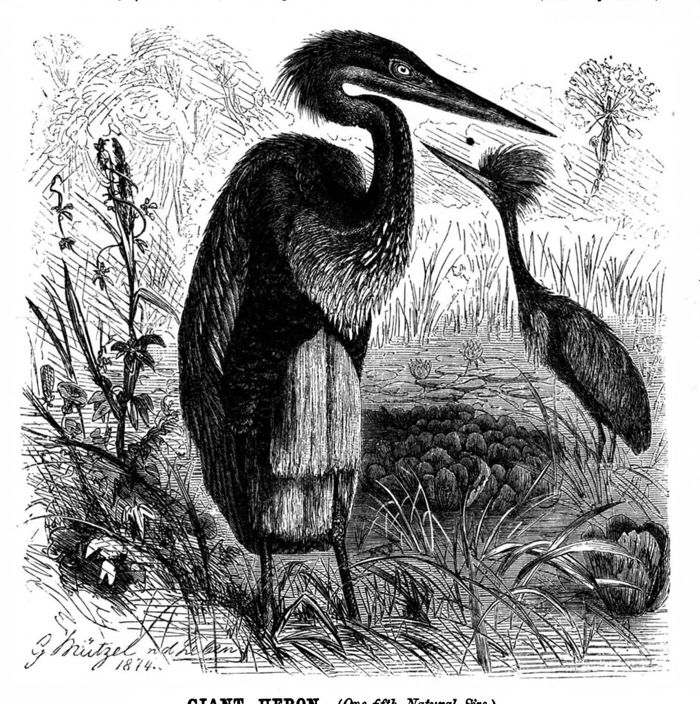 An illustration from Scientific American, Vol. 49, No. 24 (1883), 1883, leaf 8