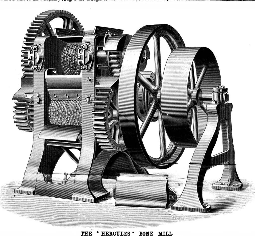 An illustration from Scientific American, Vol. 49, No. 25 (1883), 1883, leaf 3