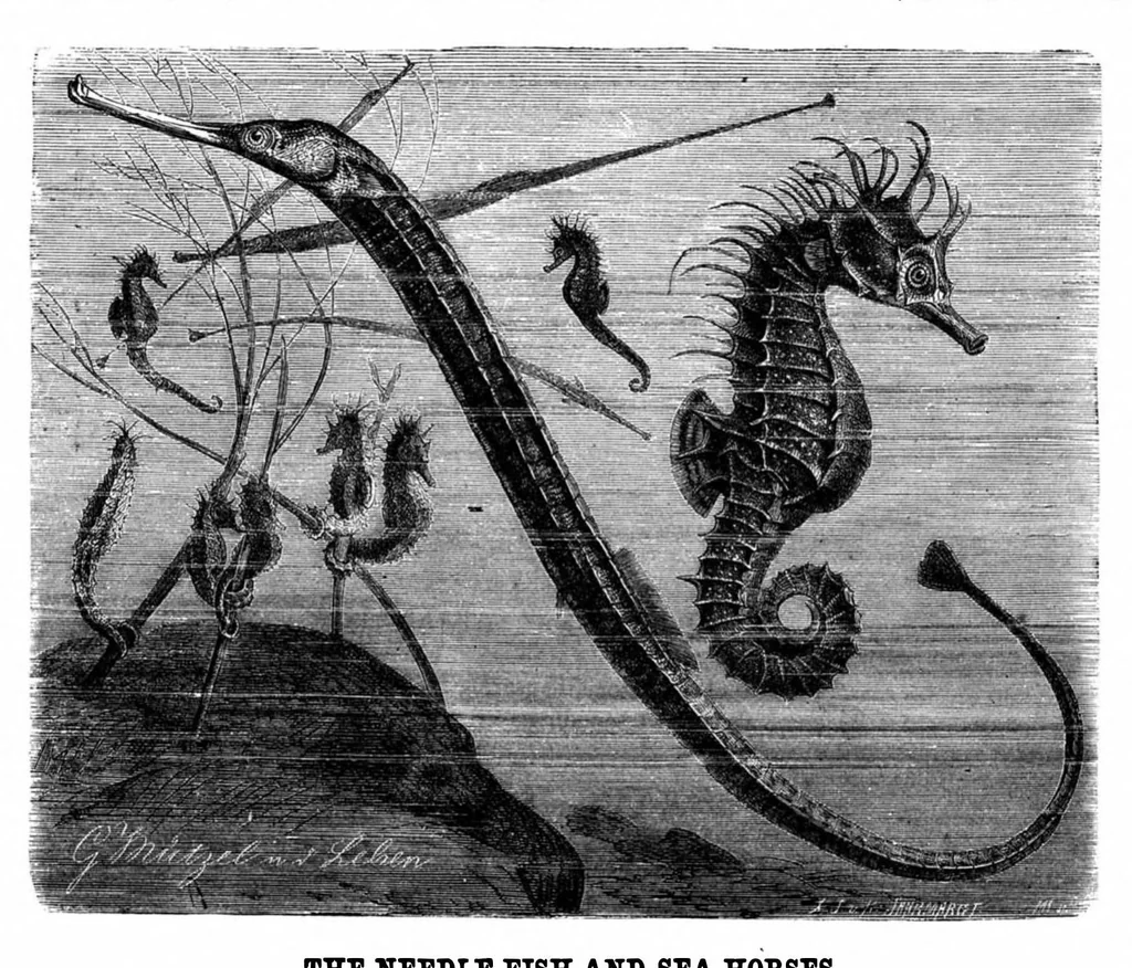 An illustration from Scientific American, Vol. 49, No. 26 (1883), 1883, leaf 8