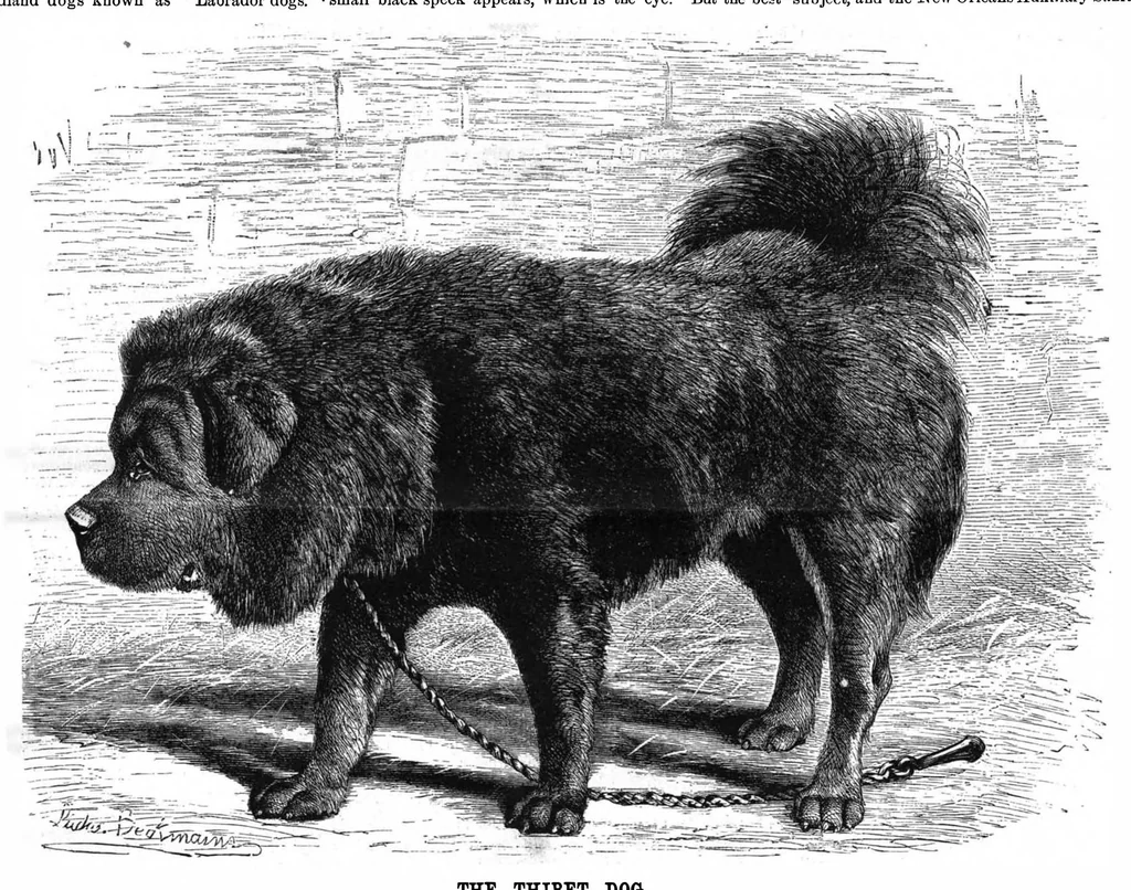 An illustration from Scientific American, Vol. 50, No. 2 (1884), 1884, leaf 8
