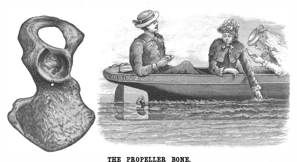 An illustration from Scientific American, Vol. 50, No. 5 (1884), 1884, leaf 4