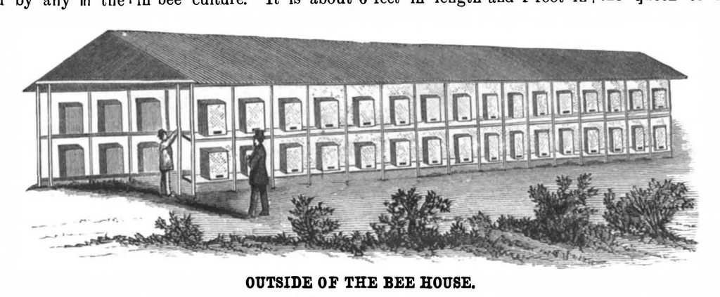 An illustration from Scientific American, Vol. 50, No. 5 (1884), 1884, leaf 7