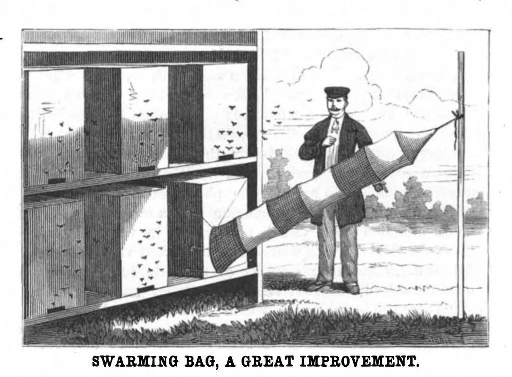 An illustration from Scientific American, Vol. 50, No. 5 (1884), 1884, leaf 7
