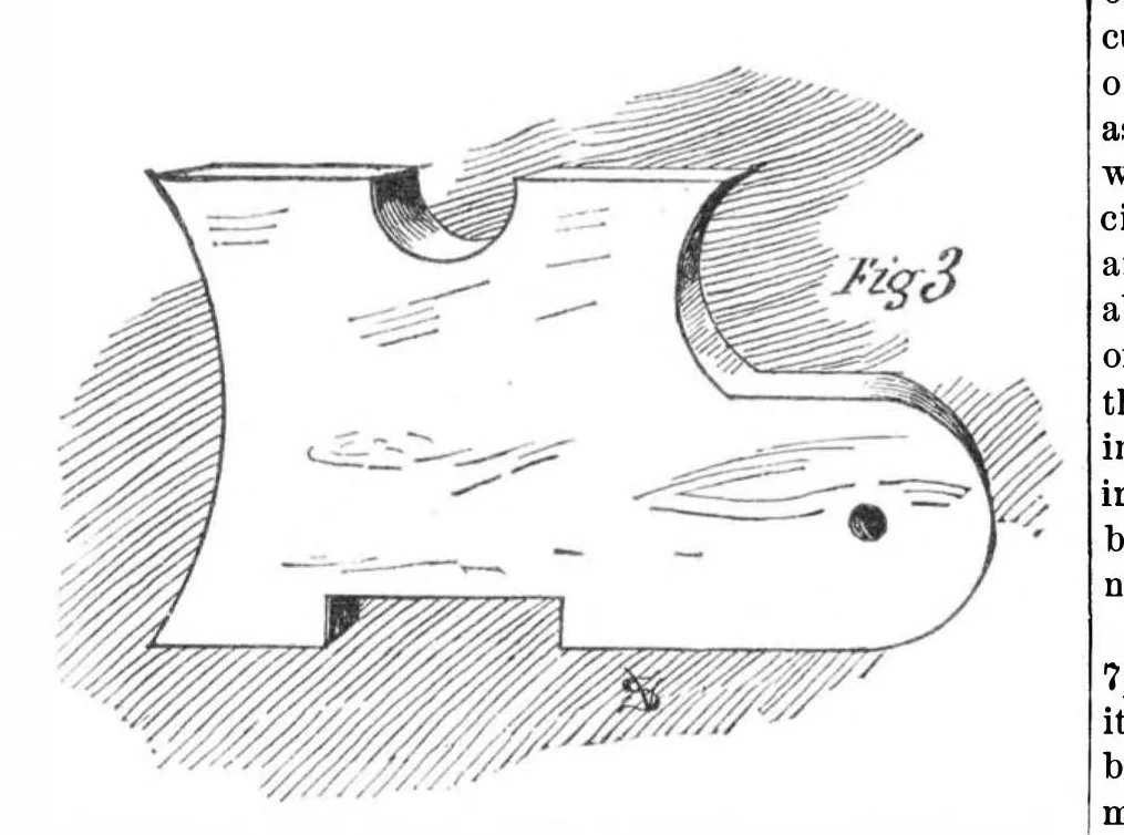 An illustration from Scientific American, Vol. 50, No. 6 (1884), 1884, leaf 5