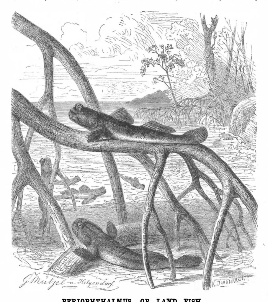 An illustration from Scientific American, Vol. 50, No. 7 (1884), 1884, leaf 8