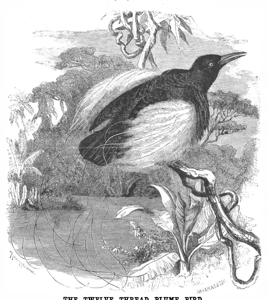 An illustration from Scientific American, Vol. 50, No. 12 (1884), 1884, leaf 8