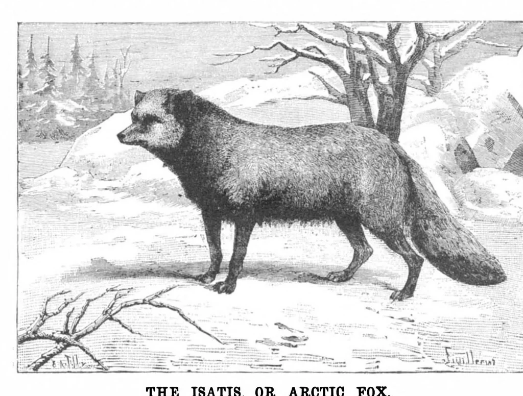 An illustration from Scientific American, Vol. 50, No. 23 (1884), 1884, leaf 8