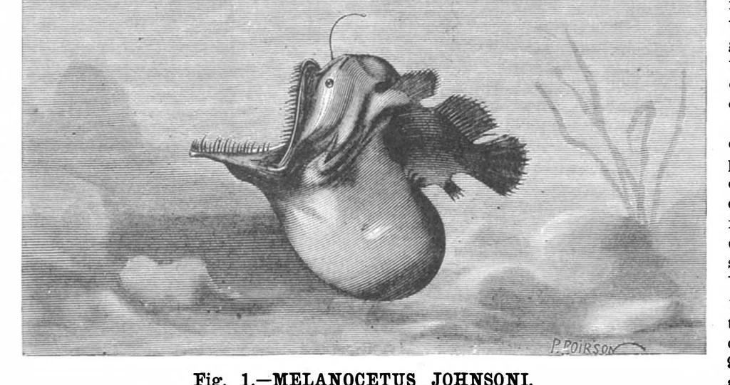An illustration from Scientific American, Vol. 50, No. 25 (1884), 1884, leaf 8