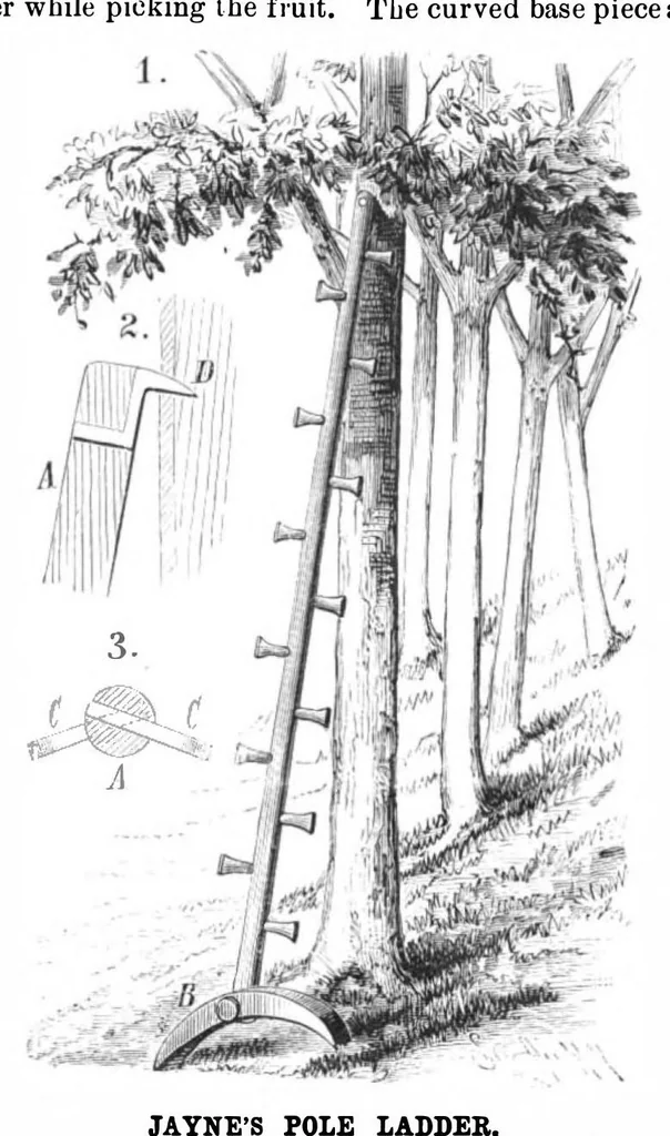An illustration from Scientific American, Vol. 51, No. 8 (1884), 1884, leaf 4