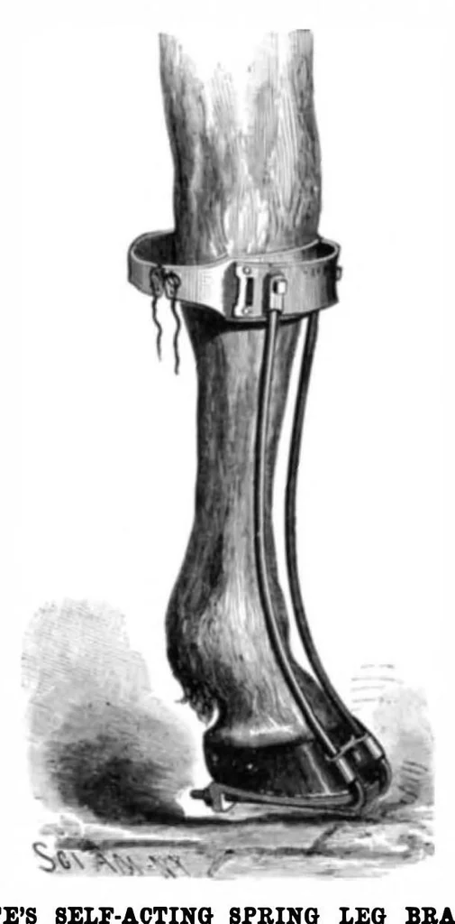An illustration from Scientific American, Vol. 51, No. 14 (1884), 1884, leaf 5