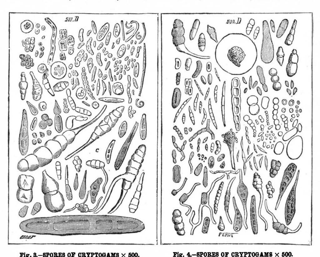 An illustration from Scientific American, Vol. 51, No. 18 (1884), 1884, leaf 8