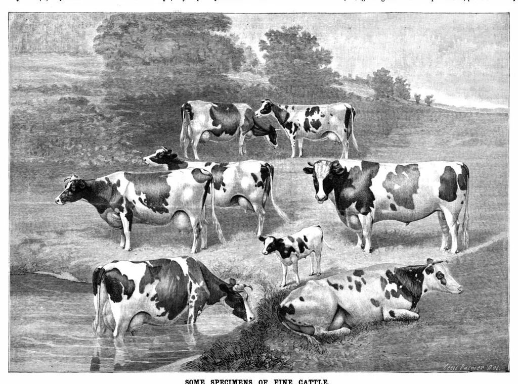 An illustration from Scientific American, Vol. 51, No. 24 (1884), 1884, leaf 8