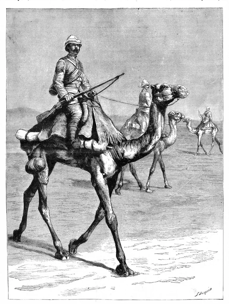 An illustration from Scientific American, Vol. 51, No. 25 (1884), 1884, leaf 8