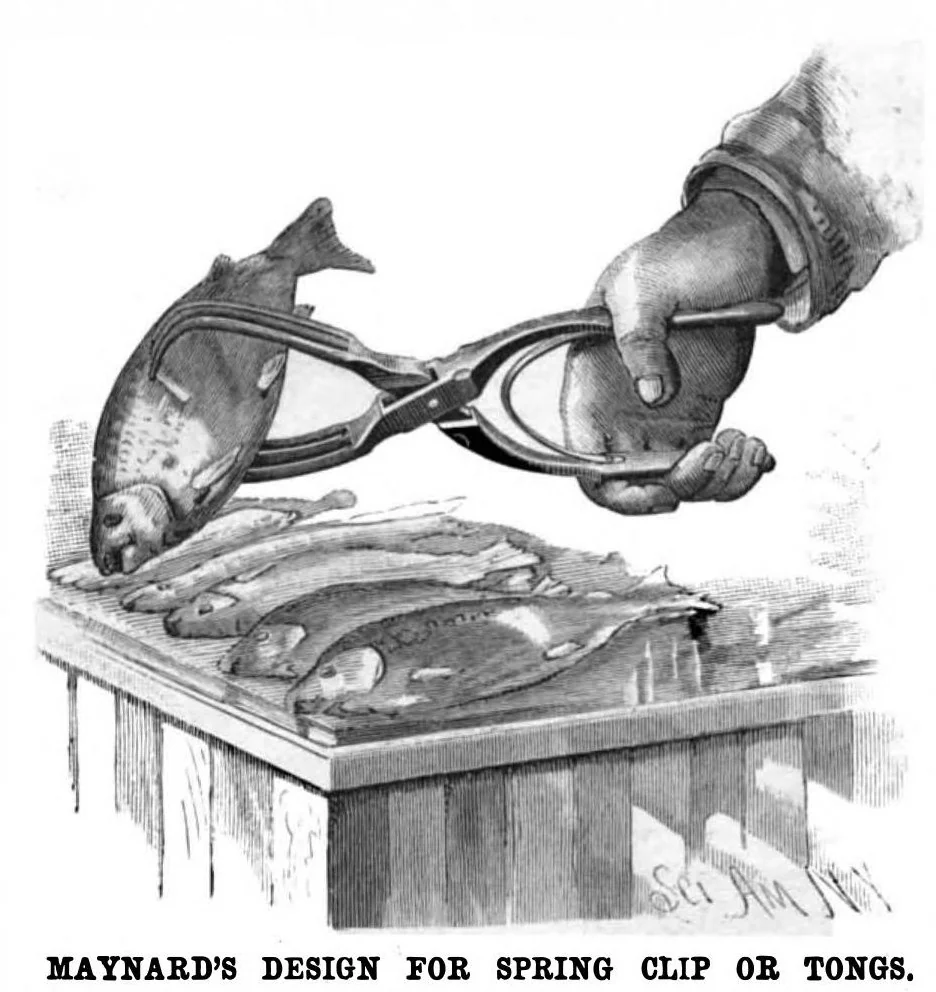 An illustration from Scientific American, Vol. 52, No. 4 (1885), 1885, leaf 3