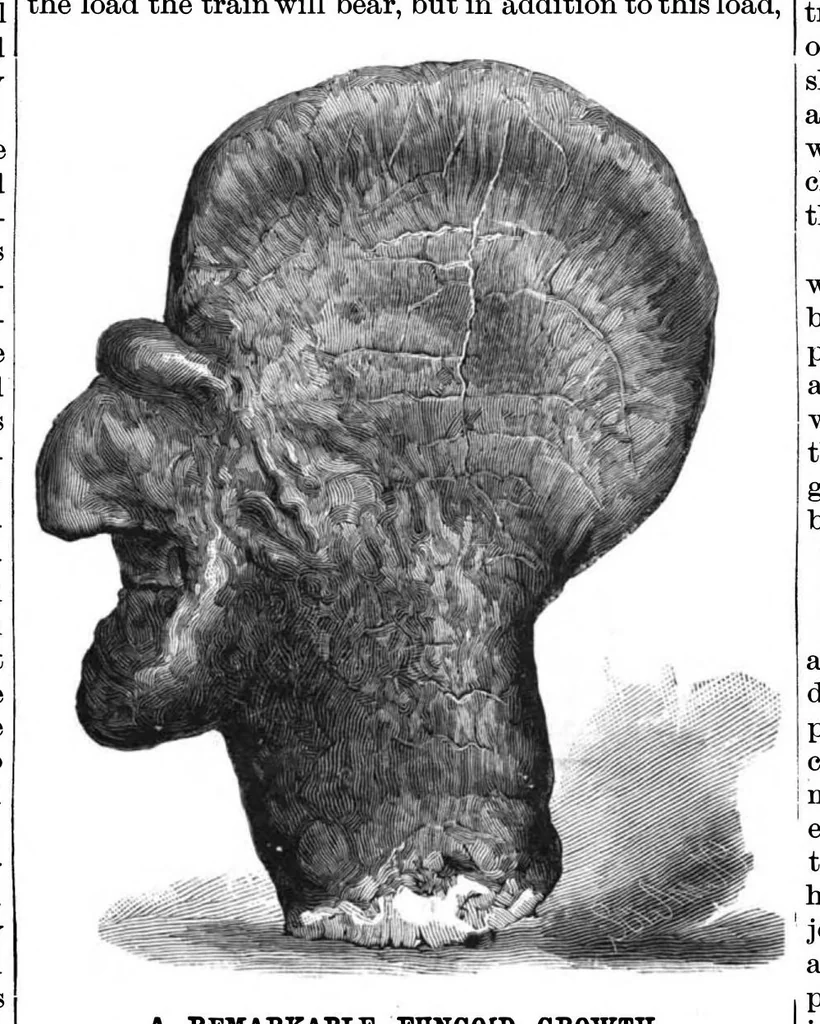 An illustration from Scientific American, Vol. 52, No. 7 (1885), 1885, leaf 4
