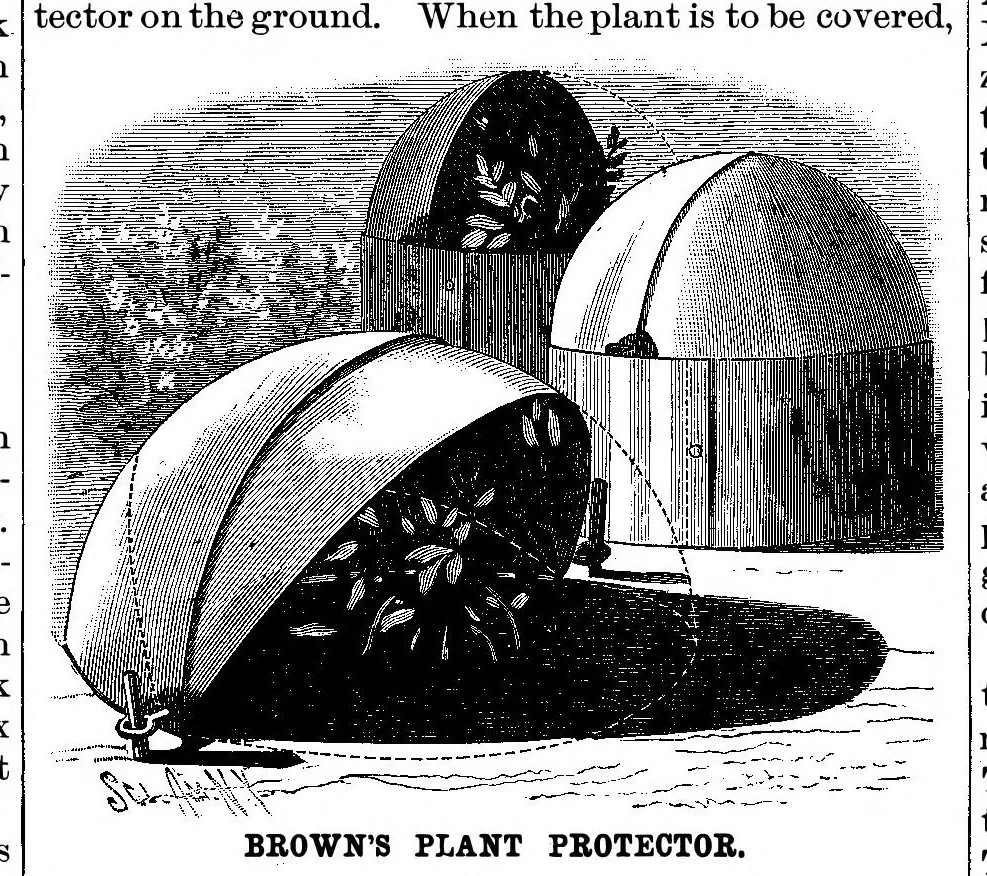 An illustration from Scientific American, Vol. 52, No. 8 (1885), 1885, leaf 5