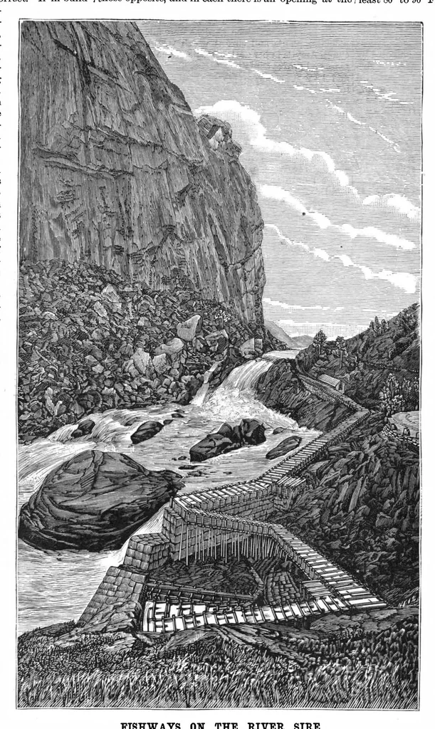 An illustration from Scientific American, Vol. 52, No. 9 (1885), 1885, leaf 8