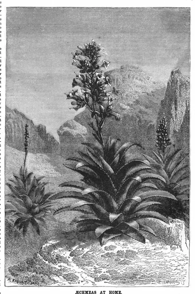 An illustration from Scientific American, Vol. 52, No. 10 (1885), 1885, leaf 8