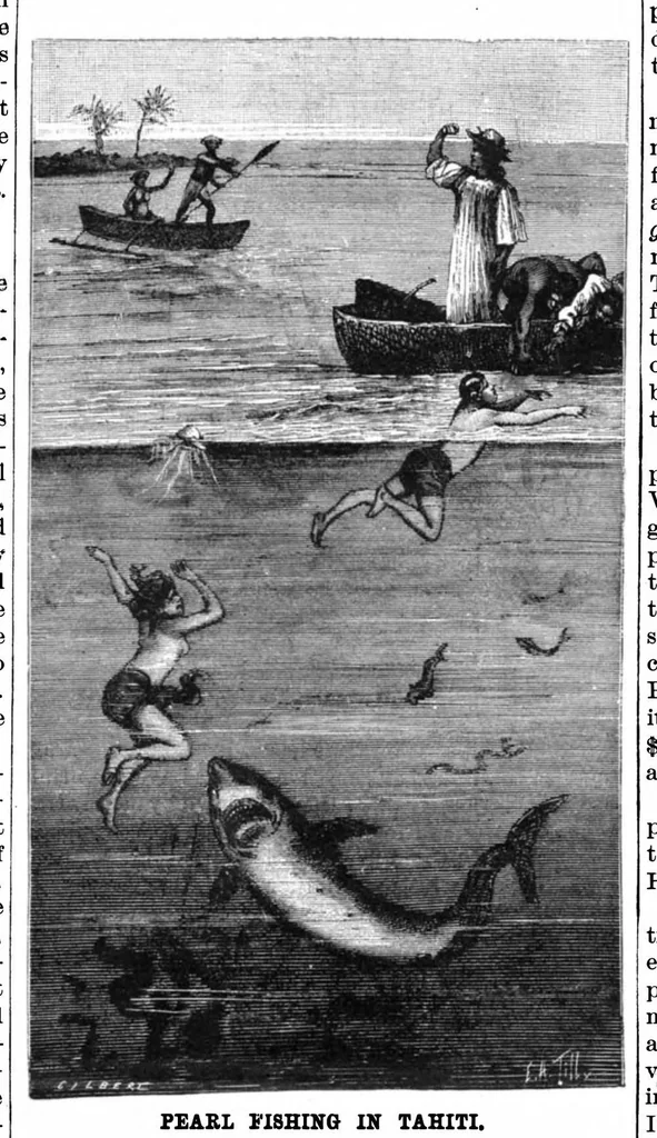 An illustration from Scientific American, Vol. 52, No. 13 (1885), 1885, leaf 8