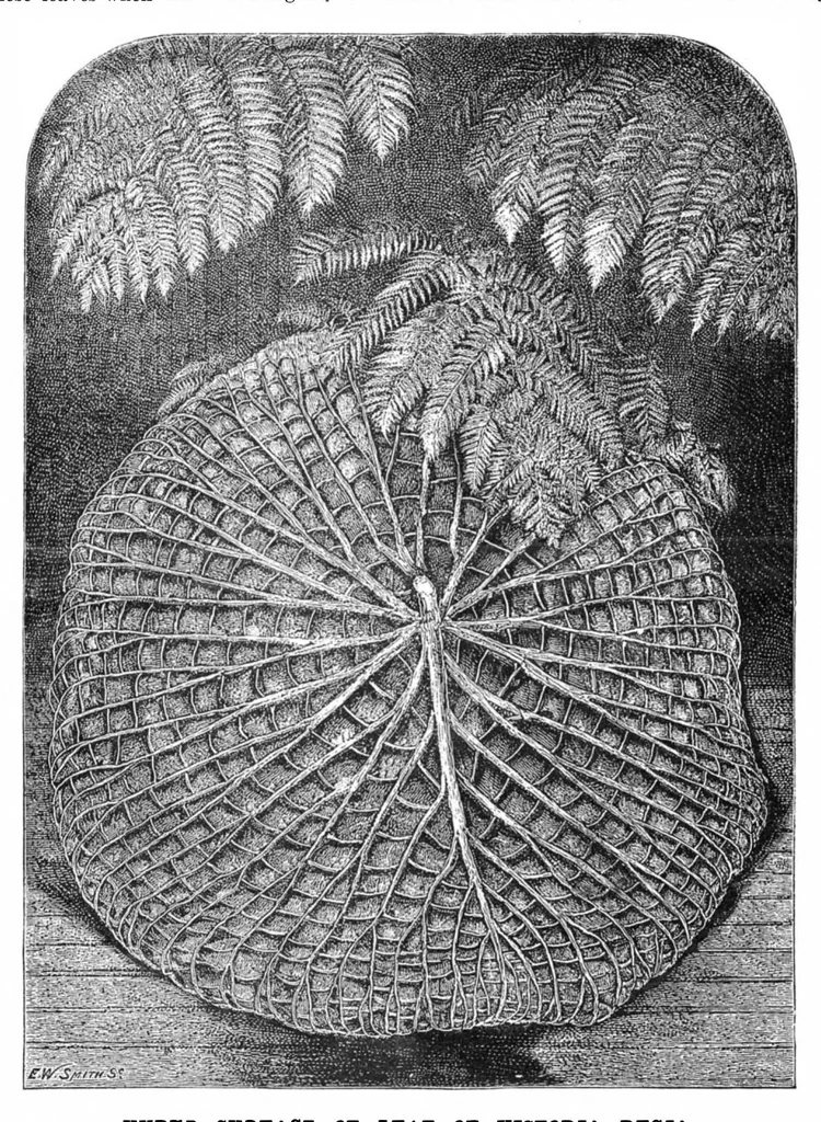 An illustration from Scientific American, Vol. 52, No. 14 (1885), 1885, leaf 10