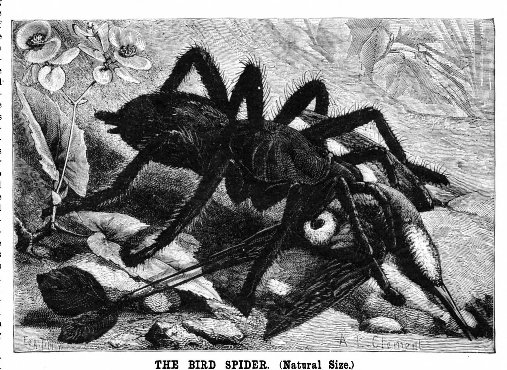 An illustration from Scientific American, Vol. 52, No. 16 (1885), 1885, leaf 8