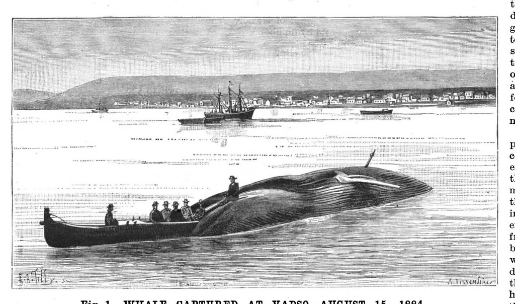An illustration from Scientific American, Vol. 52, No. 20 (1885), 1885, leaf 8