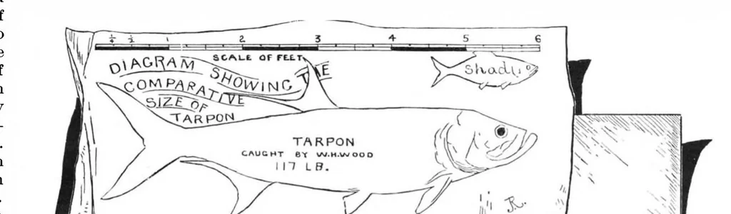 An illustration from Scientific American, Vol. 52, No. 21 (1885), 1885, leaf 8