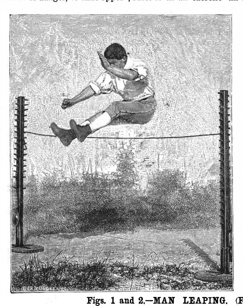 An illustration from Scientific American, Vol. 52, No. 22 (1885), 1885, leaf 8