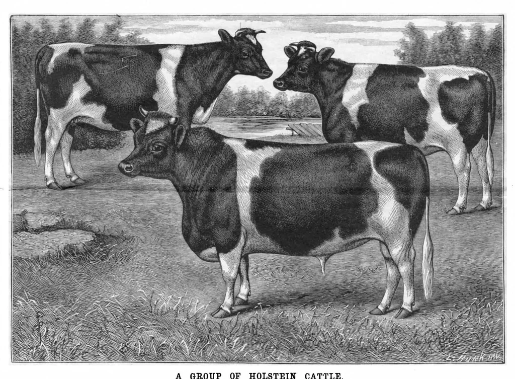 An illustration from Scientific American, Vol. 53, No. 1 (1885), 1885, leaf 9